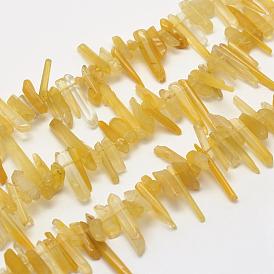 Natural Citrine Beads Strands, Tusk, Faceted