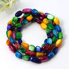 Stretch Erose Freshwater Shell Bracelets, with Elastic, 700mm
