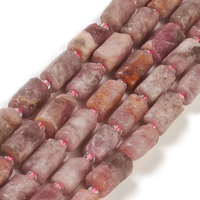 Natural Plum Blossom Tourmaline Beads Strands, with Seed Beads, Faceted, Column