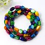 Stretch Erose Freshwater Shell Bracelets, with Elastic, 700mm