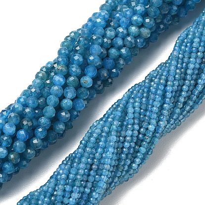 Natural Apatite Beads Strands, Round, Faceted