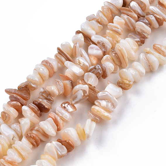 Natural Freshwater Shell Beads Strands, Nuggets Chips