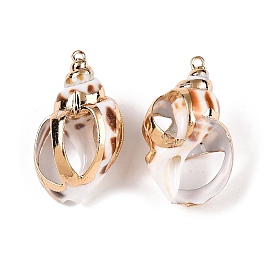 Natural Sea Shell Pendants, Shell Shaped Charms with Golden Tone Iron Loops