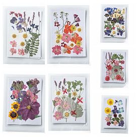 7 Bags 7 Style Pressed Dried Flowers, for Cellphone, Photo Frame, Scrapbooking DIY and Resin Art Floral Decors