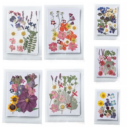 7 Bags 7 Style Pressed Dried Flowers, for Cellphone, Photo Frame, Scrapbooking DIY and Resin Art Floral Decors