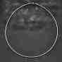 Casual Style 304 Stainless Steel Snake Chain Choker Necklaces, with Lobster Claw Clasps
