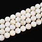 Natural Freshwater Shell Beads Strands, Round