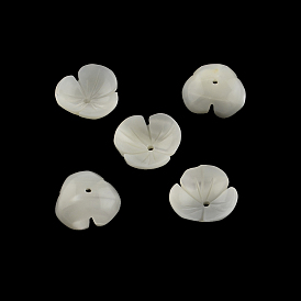 Fleur de coquillage trochid naturel / perles de coquillage trochus