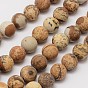 Natural Picture Jasper Beads Strands, Frosted, Round