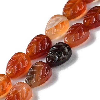 Natural Red Agate Beads Strands, Leaf