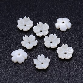 5-pétale de fleur perles de coquillage naturel d'eau douce, 8x3mm, Trou: 1mm