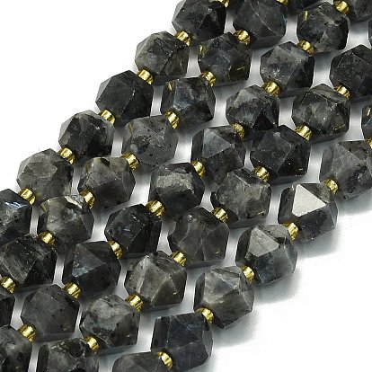 Натуральные бусины из ларвикита, восьмиугольный, граненые