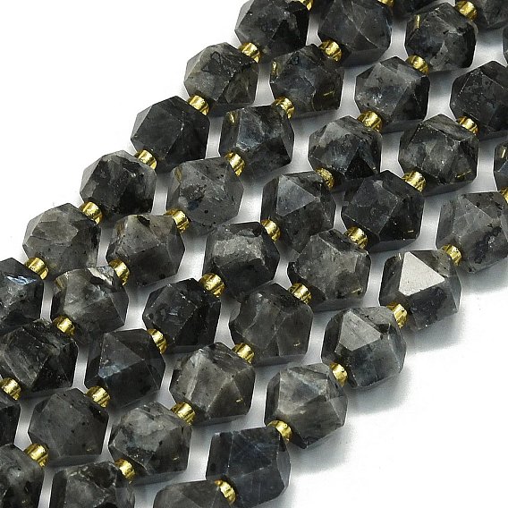 Натуральные бусины из ларвикита, восьмиугольный, граненые