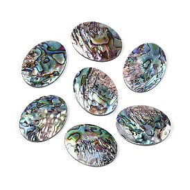 Natural Abalone Shell/Paua Shell Cabochons, Oval, with Freshwater Shell