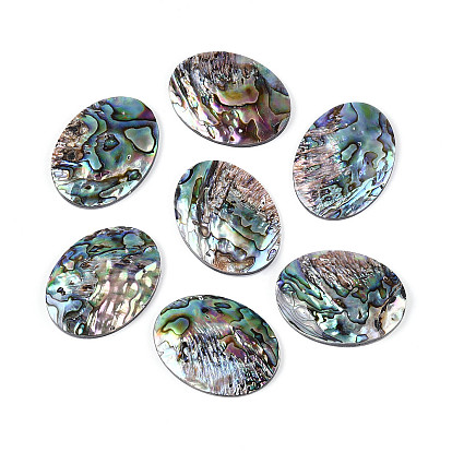 Natural Abalone Shell/Paua Shell Cabochons, Oval, with Freshwater Shell