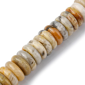 Natural Crazy Lace Agate Beads Strands, Disc