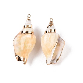 Natural Conch Shell Big Pendants, Shell Shaped Charms with Golden Tone Iron Loops