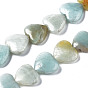 Natural Amazonite Beads Strands, Heart
