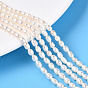 Нити из натурального культивированного пресноводного жемчуга, рис, класса AB