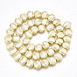 Electroplate Non-magnetic Synthetic Hematite Beads Strands, Scallop Shell Shape