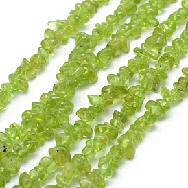 Natural Peridot Beads Strands, Chip