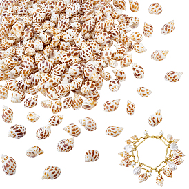200 piezas de colgantes de concha natural, encantos de forma de concha