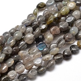 Pépites de labradorite naturelle perles brins, pierre tombée, 4~8x6~9x5~7mm, Trou: 1mm, environ 15.3 pouces ~15.7 pouces