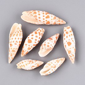 Natural Marble Miter Shell Display Decorations, for Fish Tank Aquarium Ornaments, Spotted Conch Shape