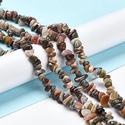 Natural Alashan Agate Beads Strands, Chip