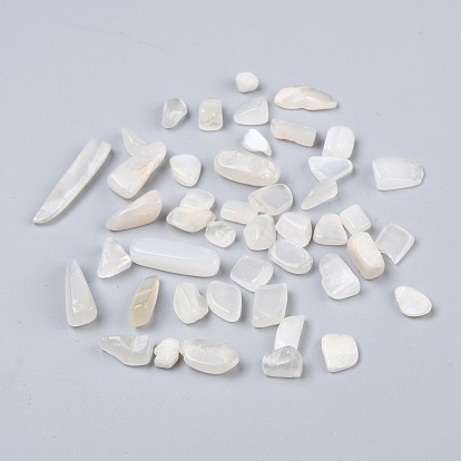 Natural White Moonstone Beads, No Hole/Undrilled, Chip