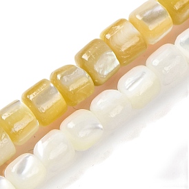 Natural Trochus Shell Beads Strands, Column