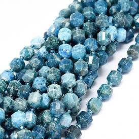 Natural Apatite Beads Strands, with Seed Beads, Faceted, Bicone, Double Terminated Point Prism Beads