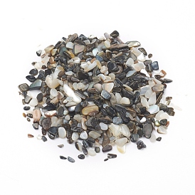 Perles de coquillages naturels d'eau douce, tessons shell, teint, sans trou, puce