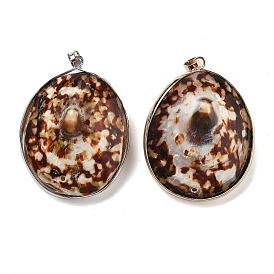 Гальванические подвески из натуральных ракушек, латунные овальные подвески с железными застежками-кнопками
