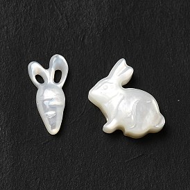 Natural Freshwater Shell Beads Sets, Carrot & Rabbit