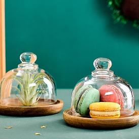 Glass Dome Cloche Cover, Bell Jar, with Wood Base, Tabletop Decorative Case Covered Plants/Food