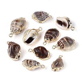 Подвески из натуральных морских ракушек, покрытые гальваническим способом, подвески в форме ракушек, с железными петлями и латунной фурнитурой, золотые