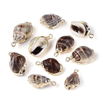 Подвески из натуральных морских ракушек, покрытые гальваническим способом, подвески в форме ракушек, с железными петлями и латунной фурнитурой, золотые