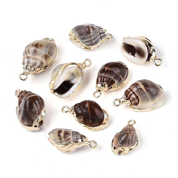 Подвески из натуральных морских ракушек, покрытые гальваническим способом, подвески в форме ракушек, с железными петлями и латунной фурнитурой, золотые