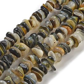 Natural Black Lip Shell Beads Strands, Chip