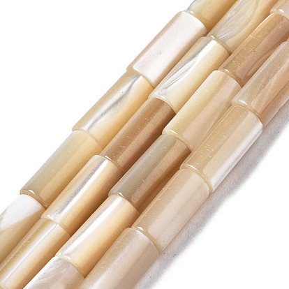 Natural Trochid Shell/Trochus Shell Beads Strands, Column