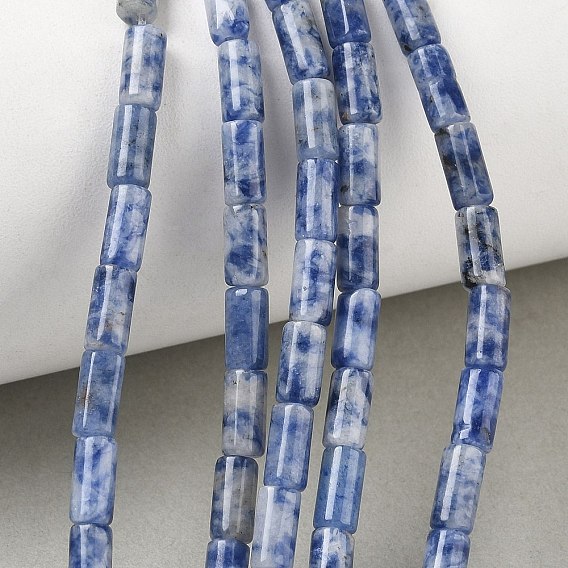 Perles de jaspe tache bleue naturelle, colonne