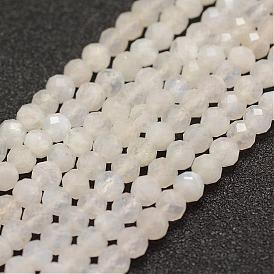Natural Rainbow Moonstone Beads  Strands, Faceted, Round