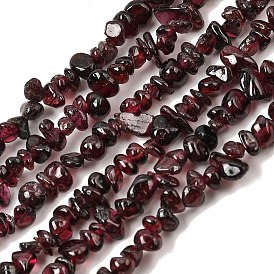Natural Garnet Beads Strands, Chips, 5~10x4~6mm, Hole: 1mm, about 32 inch