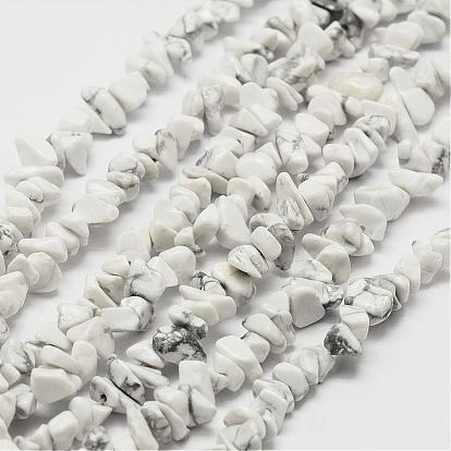 Natural Howlite Beads Strand, Chip