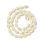 Natural Trochid Shell/Trochus Shell Beads Strands, Leaf