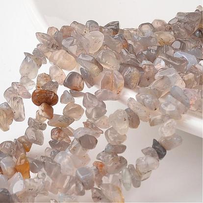 Nuggets Natural Agate Bead Strands, 4~6x8~12x2~4mm, Hole: 1mm, about 34.6 inch