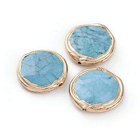 Бусины из природных Говлит, окрашенная и подогревом, с позолоченными краями из латуни, плоско-круглые