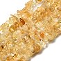 Бусины из дрогоценного камня, Природный цитрин, окрашенная и подогревом, чип, желтые