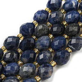 Natural Sodalite Beads Strands, Faceted, Oval, with Seed Beads